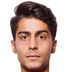 阿雷夫·哈伊·埃迪